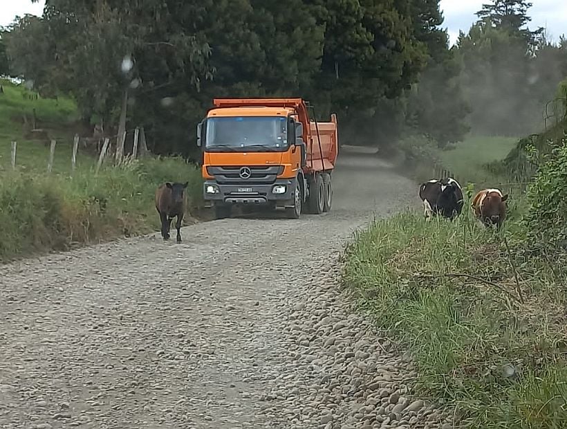 Anuncio 2021: Proyecto de pavimentación para Ovejería